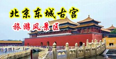 舔弄她的骚穴欧美视频中国北京-东城古宫旅游风景区